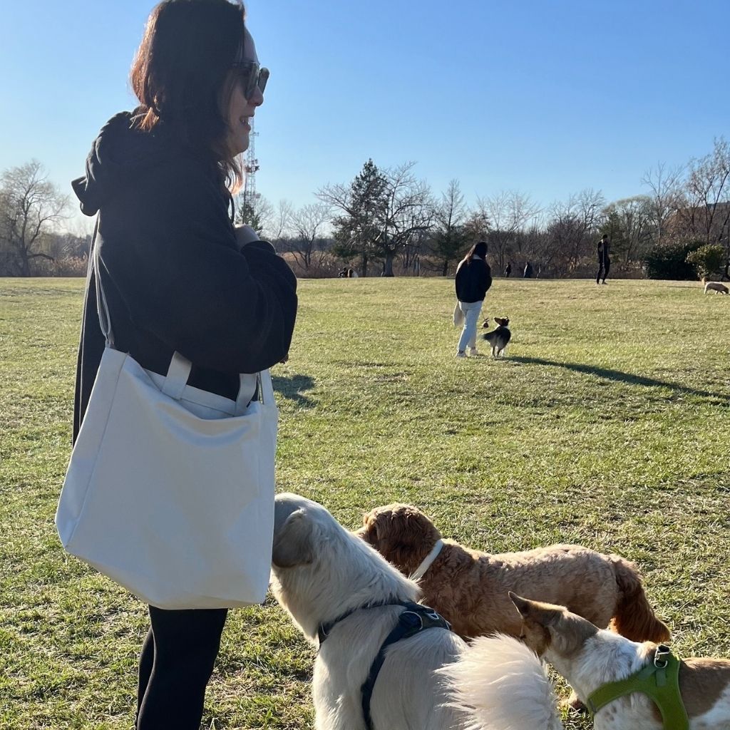 Woman carrying a reusable canvas crossbody grocery bag at a sunny dog park with golden retrievers